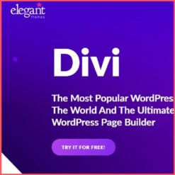 Divi theme license key