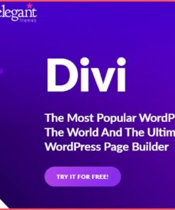 Divi theme license key