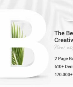 Bridge Creative Multipurpose WordPress Theme GPL