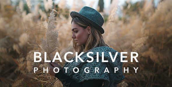 download blacksilver theme gpl v890 photography theme for wordpress