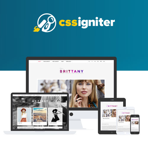 httpsplugintheme.netwp contentuploads201812CSS Igniter Brittany WordPress Theme