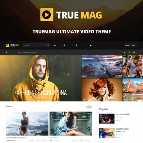 httpsplugintheme.netwp contentuploads201812True Mag WordPress Theme for Video and Magazine