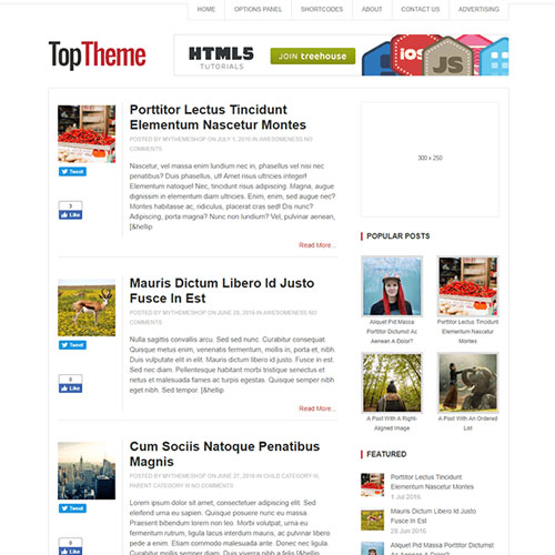 httpsplugintheme.netwp contentuploads201903MyThemeShop Top WordPress Theme