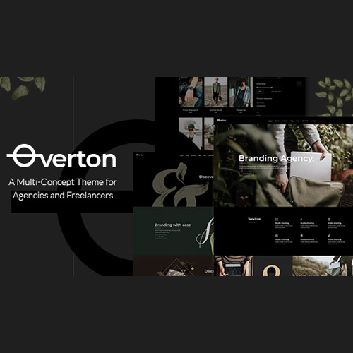 httpsplugintheme.netwp contentuploads201907Overton Creative Theme for Agencies and Freelancers