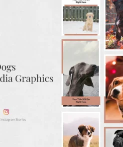 Dogs Instagram Stories