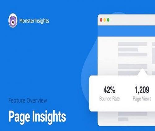 MonsterInsights Page Insights Addon GPL