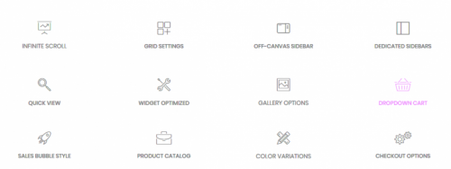 Astra Pro Theme with License Key Free Download 2 Woocomerce settings 768x288 1