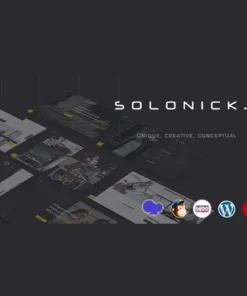 Solonick Personal Portfolio WordPress Theme