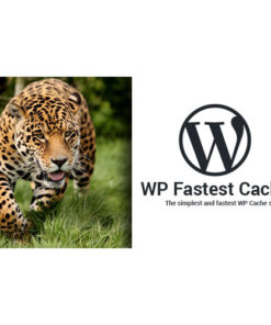 WP Fastest Cache Premium