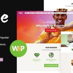 Hope Non-Profit Charity & Donations WordPress Theme