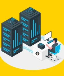 Website Migration Service